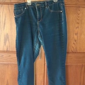 D. JEANS NEW YORK Women 14 Jeans